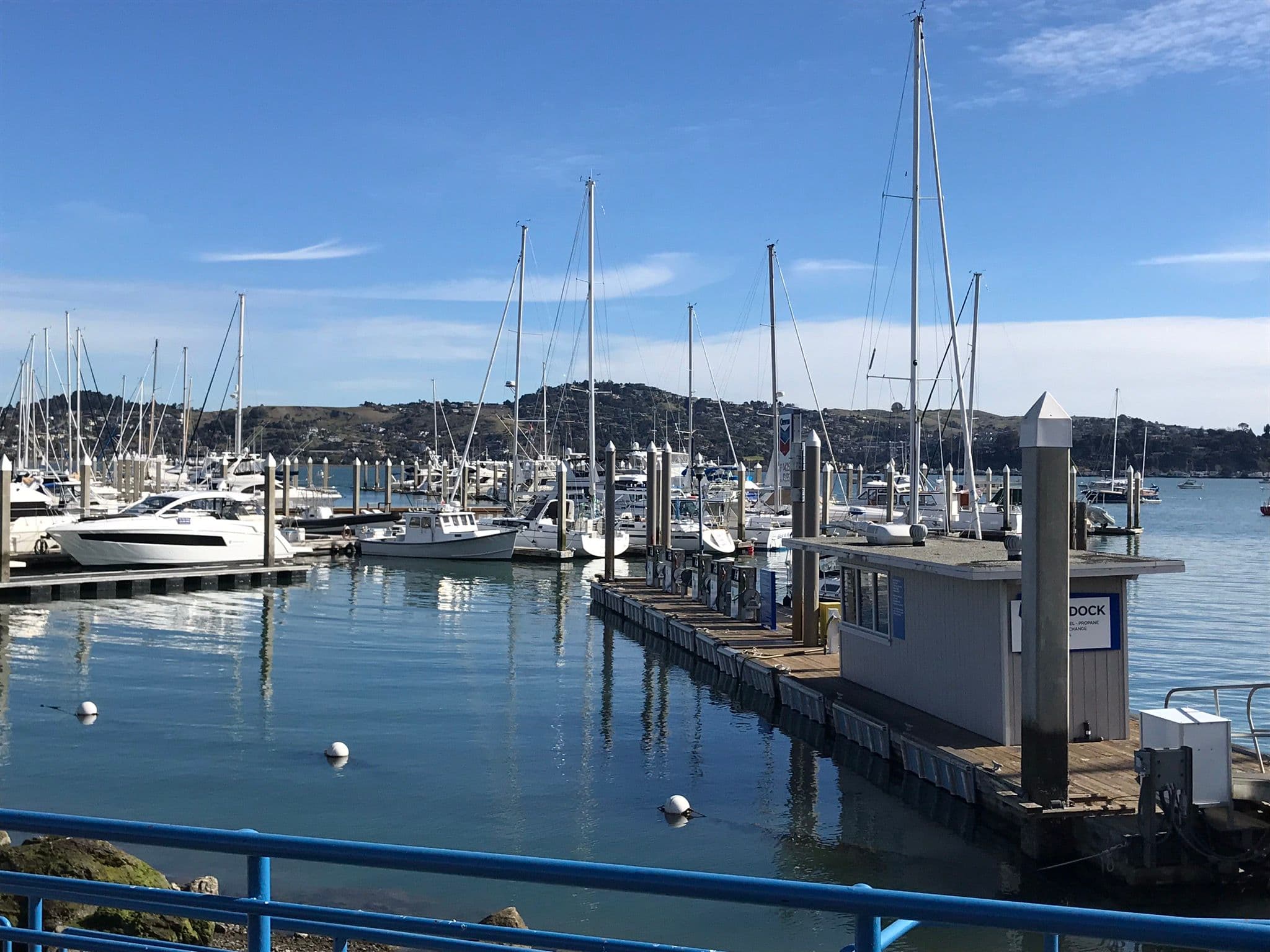 Marina with boats on the water